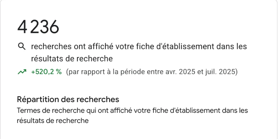 Statistiques de recherches Google Maps