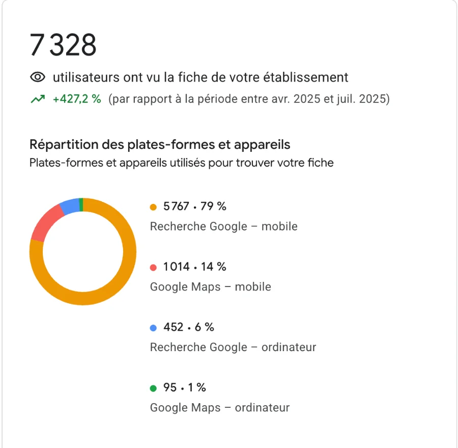 Statistiques vues Google Maps